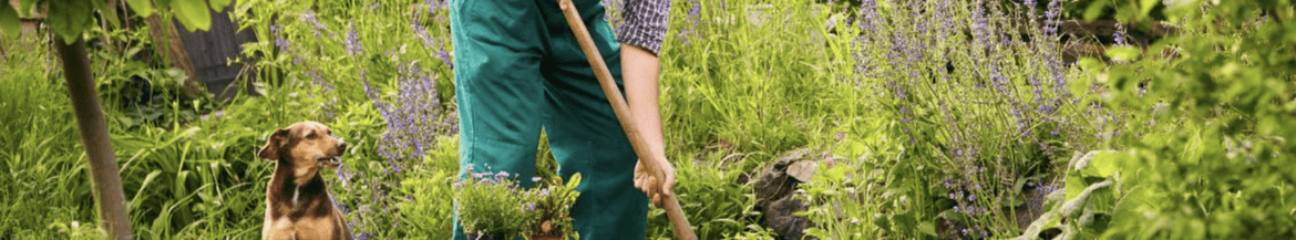 screenshot-2026-01-19-at-11-34-02