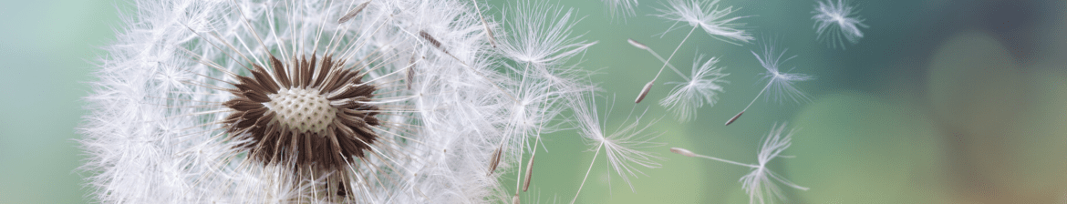 screenshot-2026-01-20-at-15-57-00-full 2